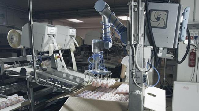 2 Automation Solutions for the Food Industry