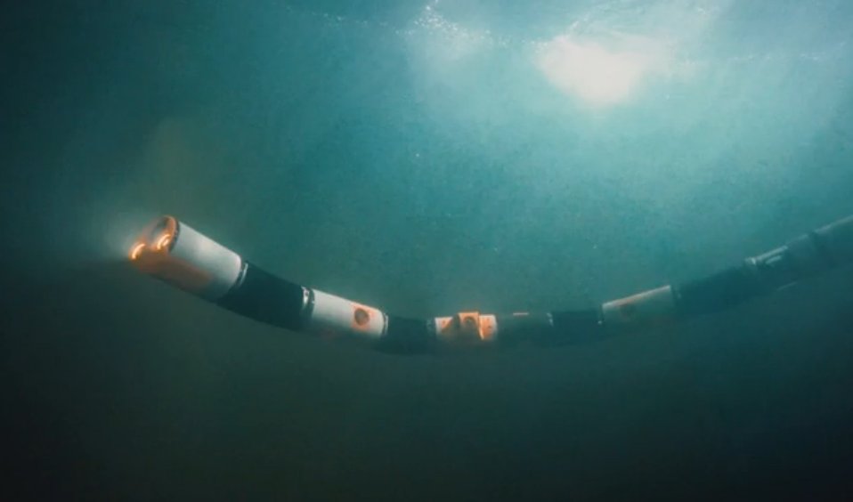 Underwater Robots for the Maritime Industry