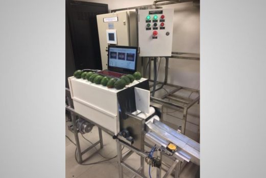 Automated Sorting System of Hass Avocado - HandySort