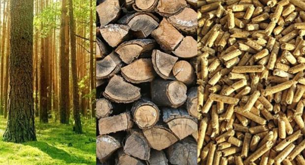 3 Catalysts used in Biomass Fuels: Agricultures meets Industry