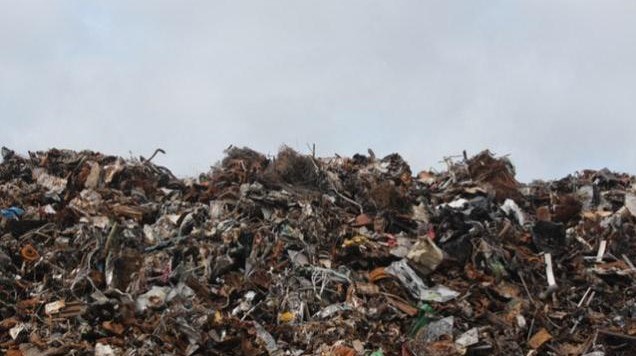 2 Industries that Do Waste Recycling Right