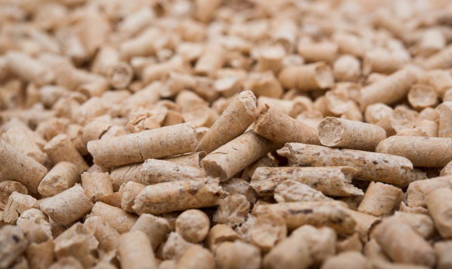 Convert biomass to high-value fuel pellets for home use