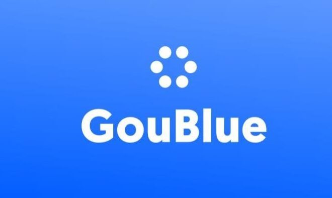 GOUBLUE Mobility: Solving the Mobility Problems of Today